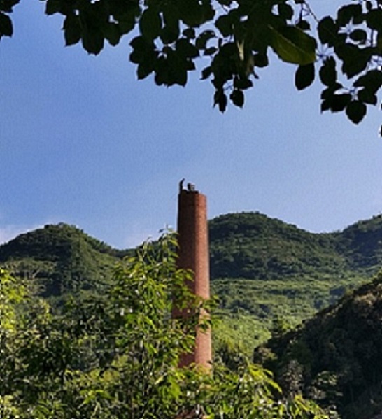 1730108676373592.jpg 0a564342ce1b21cbe074fa7f2d9c608.jpg