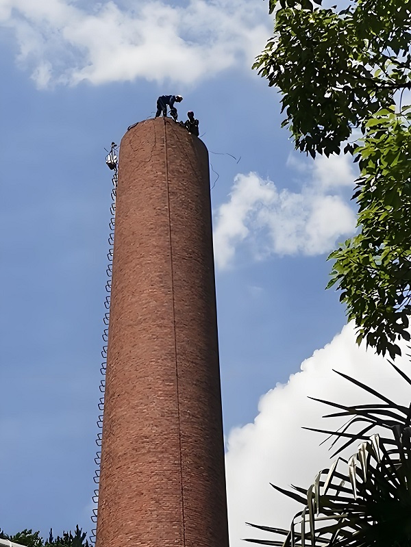 1768812134997068.jpg 0d43a66c-3d33-476c-9b26-55e55afb48f0.jpg